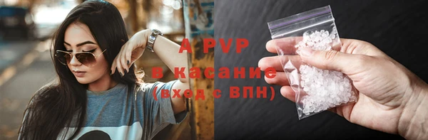 СК Новозыбков