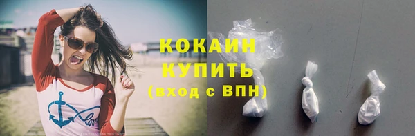СК Новозыбков