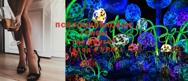 дурь Билибино