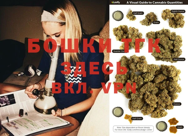 СК Новозыбков