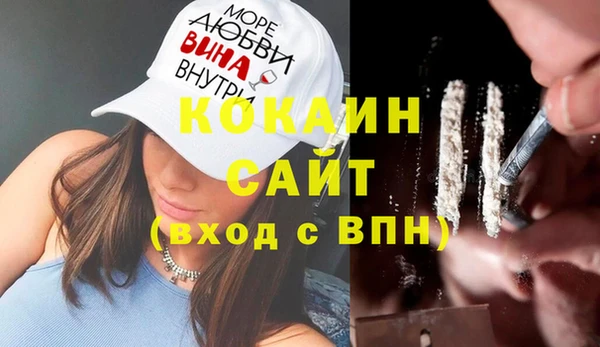 СК Новозыбков