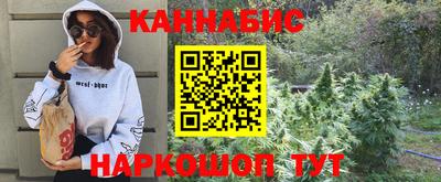 крисы Аргун