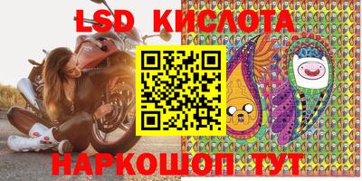 мдпв Гатчина