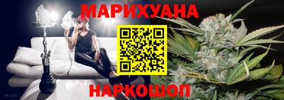 крисы Аргун