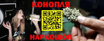 мдпв Гатчина