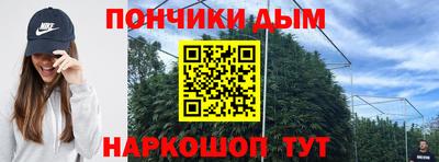 мдпв Гатчина
