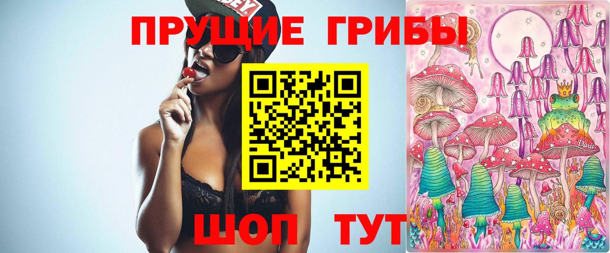 Ейск  Псилоцибиновые грибы Magic Shrooms  Вход с VPN 