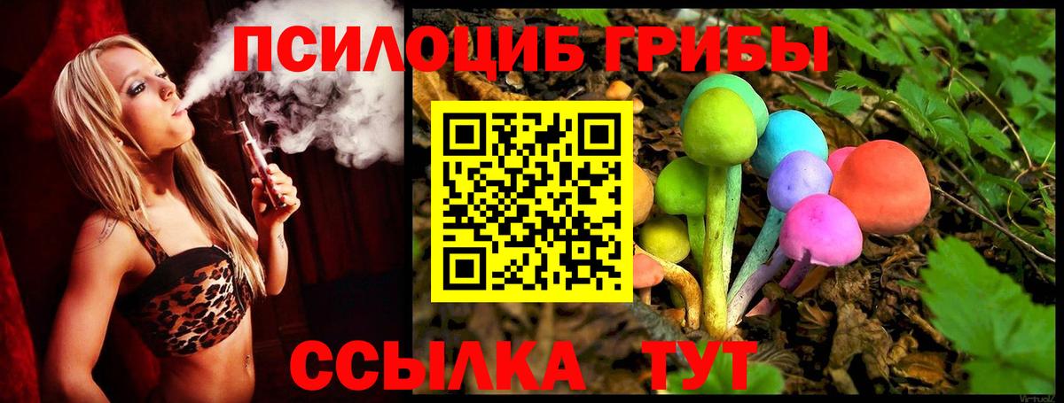 Галлюциногенные грибы Psilocybine cubensis Ейск