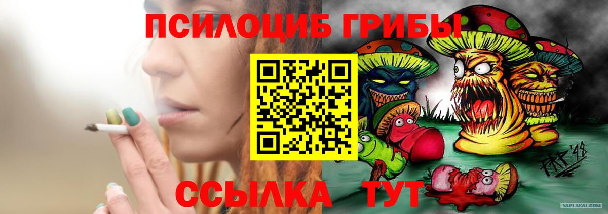 Галлюциногенные грибы Cubensis  Галлюциногенные грибы Cubensis  Ейск 